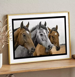 Quadro no ambiente