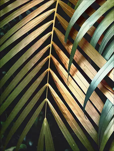 arte da peça 1