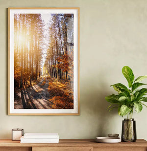 Quadro no ambiente